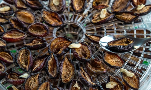 Preview: Plums dried in a dehydrator. Selective focus.