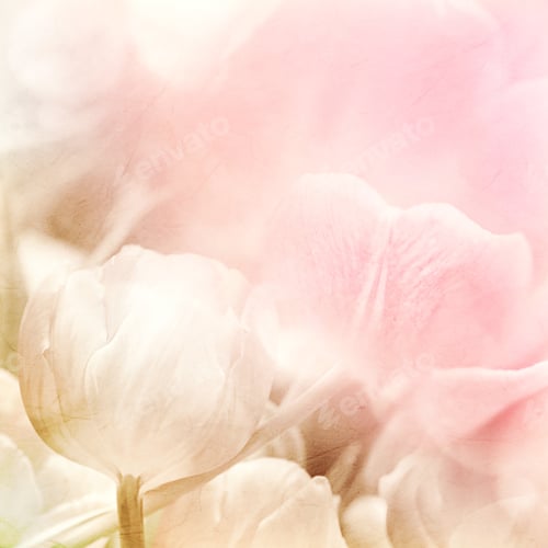 Preview: Sweet Color Tulips In Soft And Blur Style On Mulberry Paper Texture