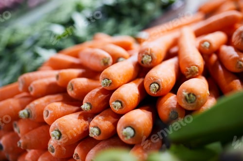 Preview: Sale of fresh raw carrots
