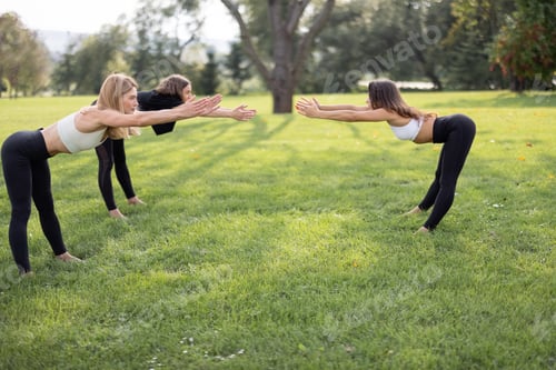 Preview: Girls practicing yoga on fitness mats on meadow