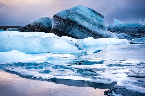 Preview: Small rocks are sitting on the ice at sunset near the water