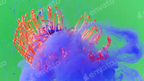 Preview: Macro photography in which paint is sprayed on a flower. Stock footage.A bright green background on