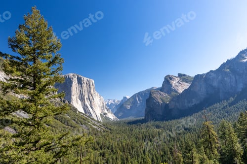 Preview: El Capitan mountain in Yosemite National Park