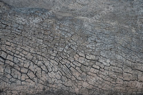 Preview: old cracked wooden trunk