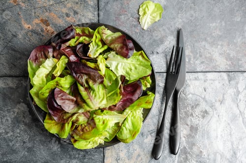 Preview: Salad leaves served on dark plate
