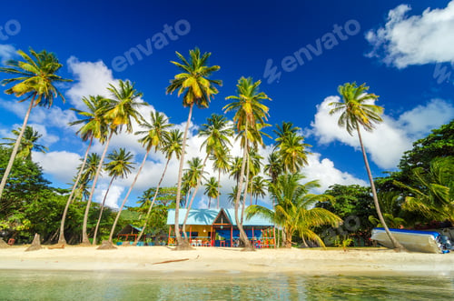 Preview: Caribbean Beach Shack