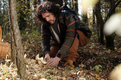 Preview: Young man with backpack bending over boletus mushroom and cutting it