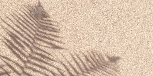 Preview: Tropical palm branch with shadow on a beige concrete wall, natural texture.