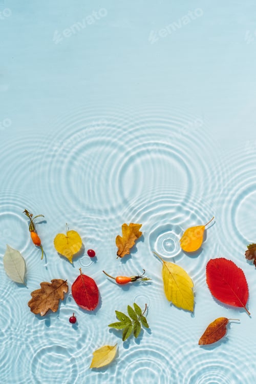 Preview: Water background with ripples and drops and colored fallen leaves