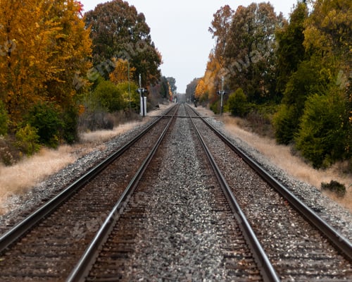 Preview: Selective focus shot of train tracks in the middle of green and yellow trees