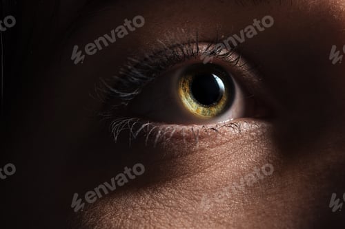 Preview: close up view of adult woman eye with eyelashes and eyebrow looking away