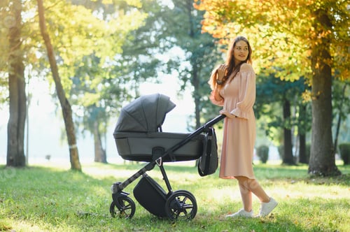 Preview: Mum walking on city street. Woman pushing her toddler sitting in a pram. Family concept.