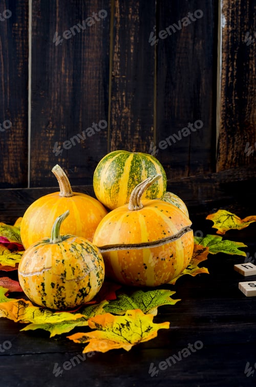Preview: autumn dark background with pumpkins and leaves