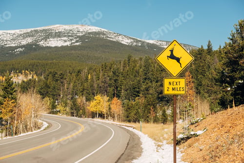Preview: Deer crossing sign on highway at autumn