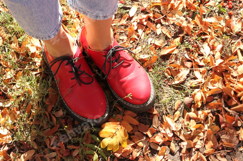 Preview: autumn walks girls