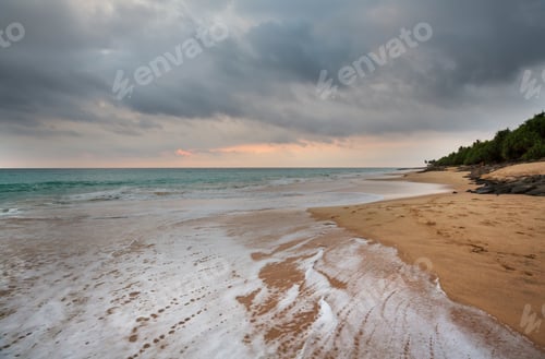 Preview: Tropical beach