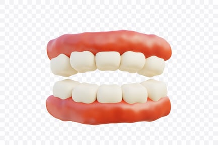 Preview: Human Teeth Anatomy