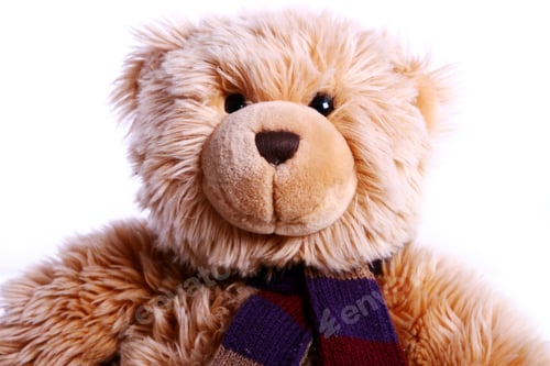 Preview: Teddy Bear