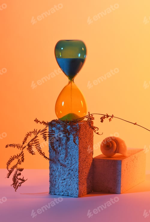Preview: Arrangement of hourglass, snail and dried fern
