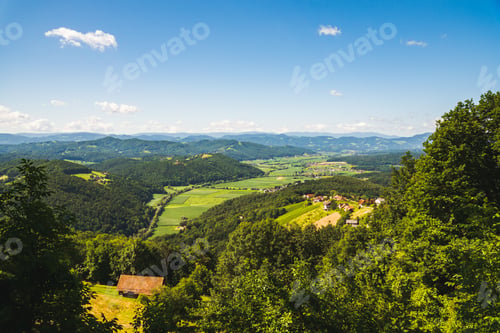Preview: Vineyard on Austrian countryside. Landscape of styrian nature.