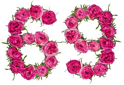 Preview: Arabic numeral 69, sixty nine, from red flowers of rose, isolated on white background