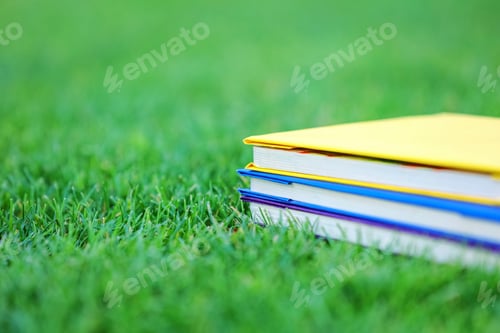 Preview: Stack of three books on green grass in park