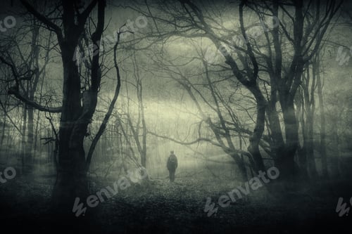 Preview: Mysterious traveler in dark fantasy forest with fog