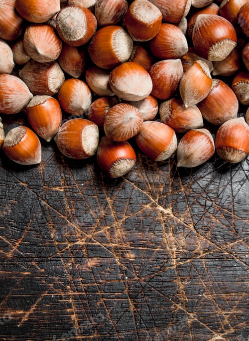 Preview: Hazelnuts in the shell.