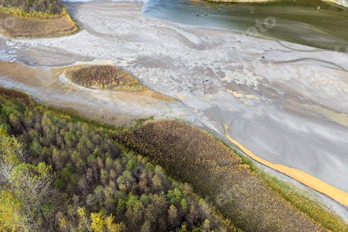 Preview: Aerial View of Autumn Forest Meeting a Muddy River Delta in BC, Canada