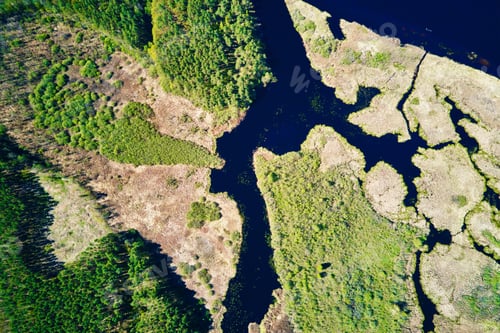 Preview: River floodplain landscape and green forest, aerial view