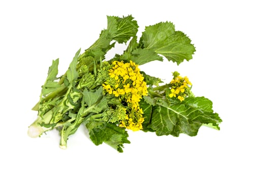 Preview: Broccoli Rabe Isolated