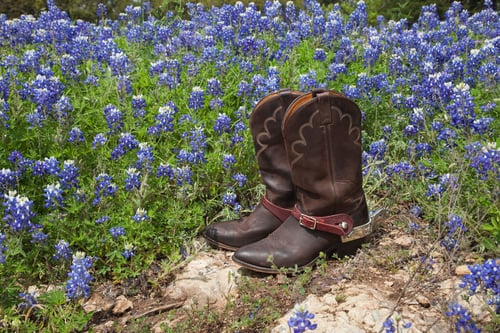Preview: Cowboy Boots in a Field of Bluebonnets in Texas