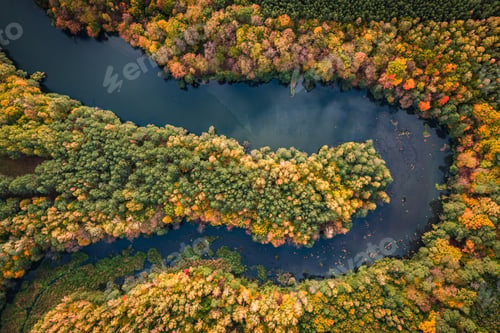 Preview: Stunning river and forest in fall. Aerial view of wildlife.