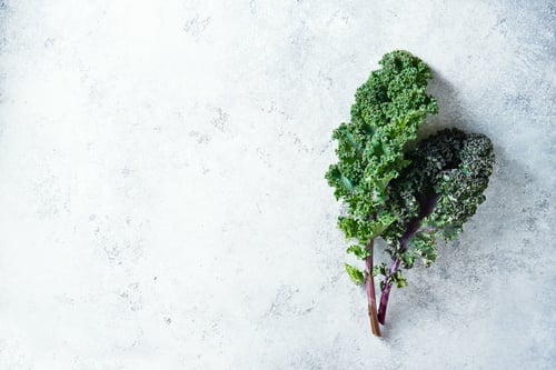 Preview: Green and purple Kale leaves