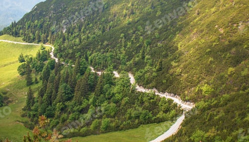Preview: Winding mountain road through lush green forest