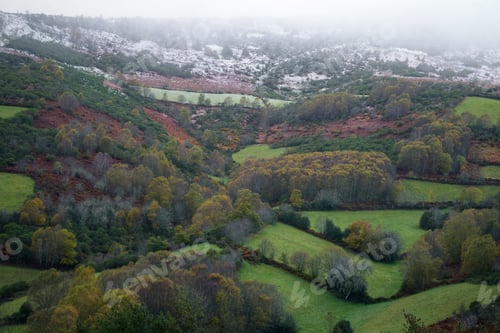 Preview: First snow at the end of autumn over the deciduous forests