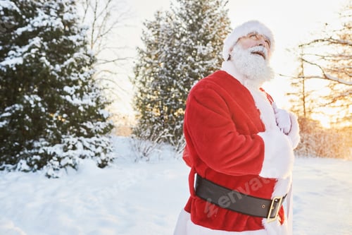 Preview: Santa Claus With Bag in Forest