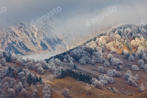 Preview: winter landscape