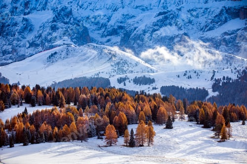 Preview: Beautiful Winter at Alpe di Siusi, Seiser Alm - Italy - Holiday background for Christmas.