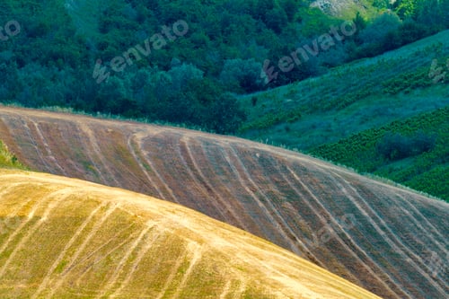 Preview: Rural landscape on the hills near Riolo Terme and Brisighella