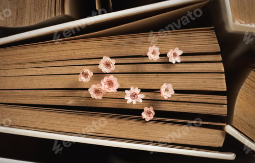 Preview: Background of old vintage hardback paper books. Library archive. Small pink dried flowers of glixia