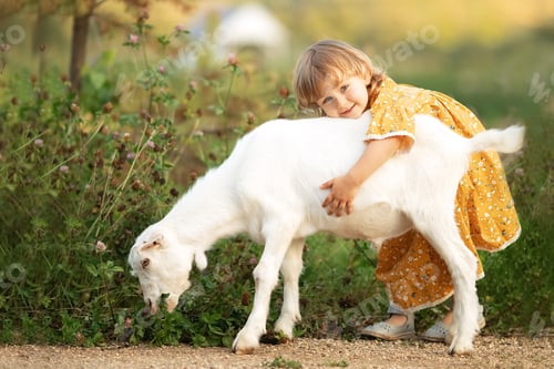 Preview: Child girl in cotton yellow dress hugs goat