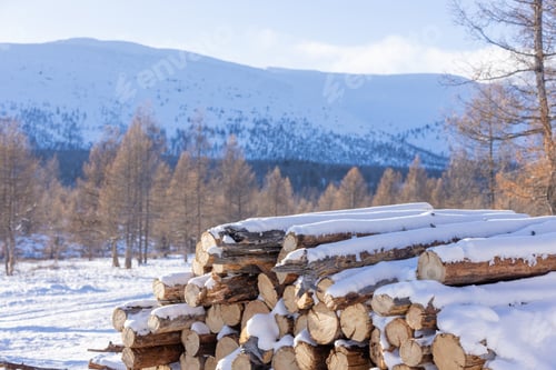 Preview: A pile or stack of firewood