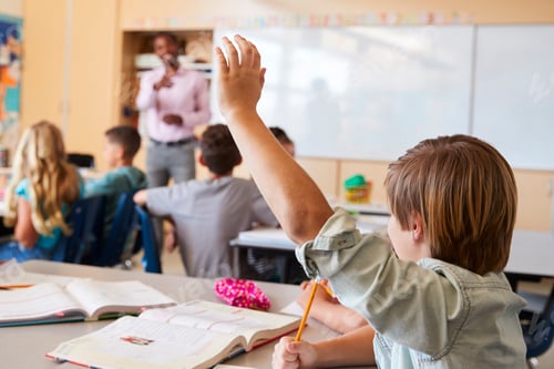 Preview: Schoolboy raising hand to answer question in a school class