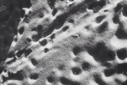 Preview: Snow tracks
