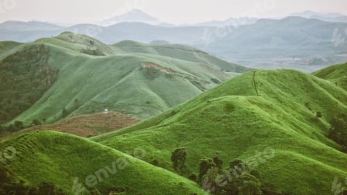 Preview: Layers of nature