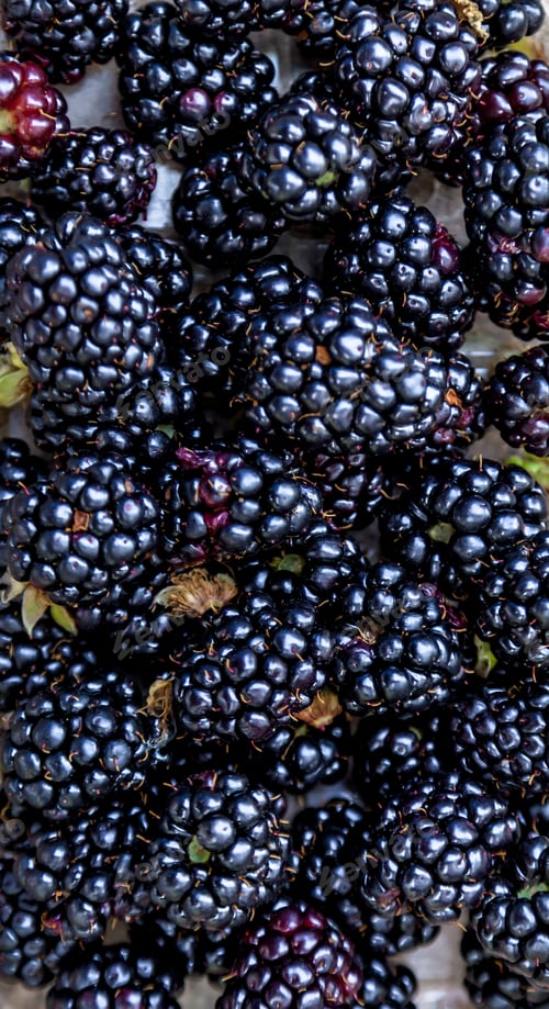 Preview: Box of Blackberries