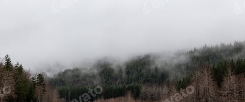 Preview: Panoramic View of Canadian Nature Landscape during a cloudy day