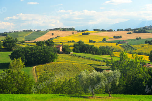 Preview: Rural landscape near Mogliano, Marches, Italy