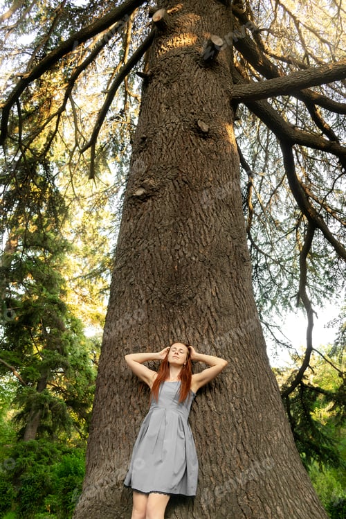 Preview: girl woman hugging huge high big oak,trunk,pine tree.nature beauty harmony landscape